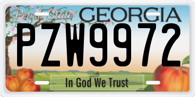 GA license plate PZW9972