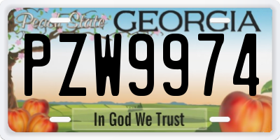 GA license plate PZW9974
