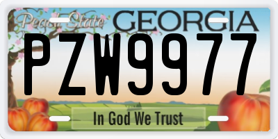 GA license plate PZW9977