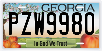 GA license plate PZW9980