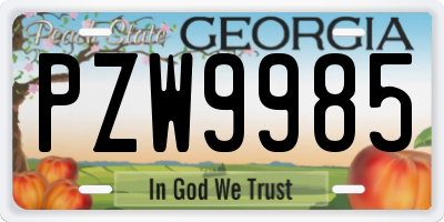 GA license plate PZW9985
