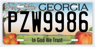 GA license plate PZW9986