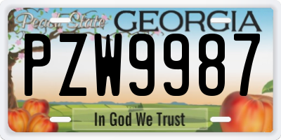 GA license plate PZW9987