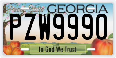 GA license plate PZW9990