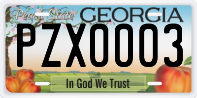 GA license plate PZX0003