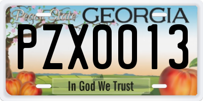 GA license plate PZX0013