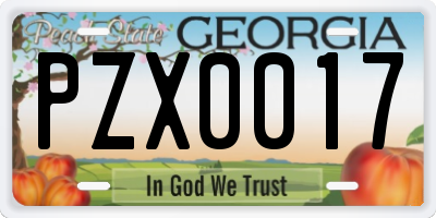 GA license plate PZX0017