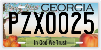 GA license plate PZX0025
