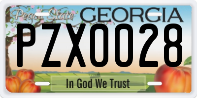 GA license plate PZX0028