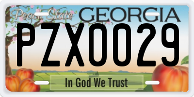 GA license plate PZX0029