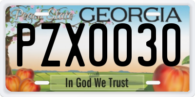 GA license plate PZX0030