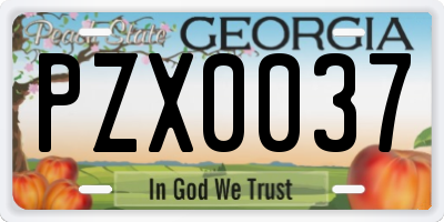 GA license plate PZX0037