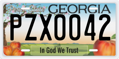 GA license plate PZX0042