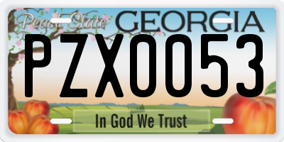 GA license plate PZX0053