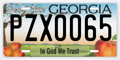 GA license plate PZX0065
