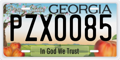 GA license plate PZX0085