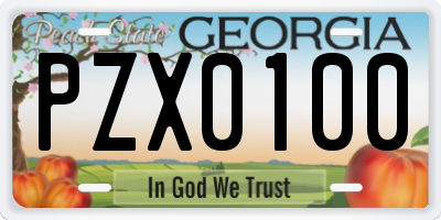 GA license plate PZX0100