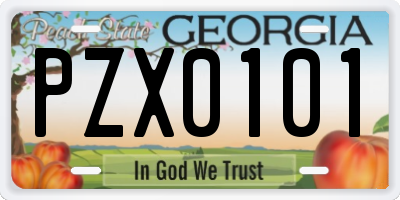 GA license plate PZX0101