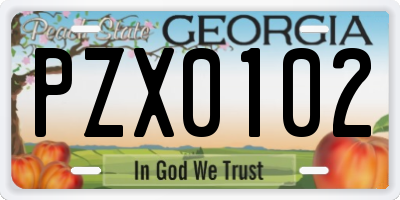 GA license plate PZX0102
