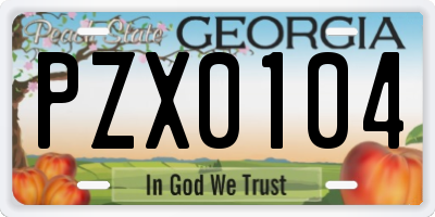 GA license plate PZX0104