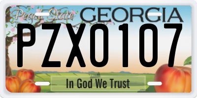 GA license plate PZX0107