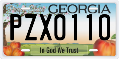GA license plate PZX0110