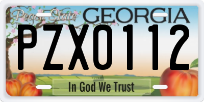GA license plate PZX0112