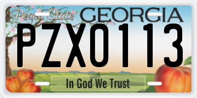 GA license plate PZX0113
