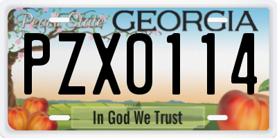 GA license plate PZX0114
