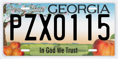 GA license plate PZX0115