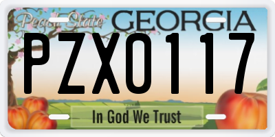 GA license plate PZX0117