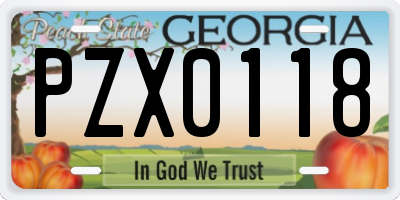 GA license plate PZX0118
