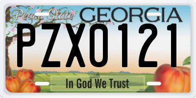 GA license plate PZX0121