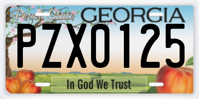 GA license plate PZX0125