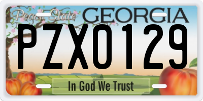GA license plate PZX0129