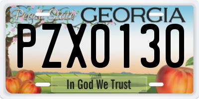 GA license plate PZX0130