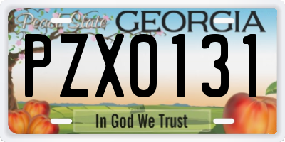GA license plate PZX0131