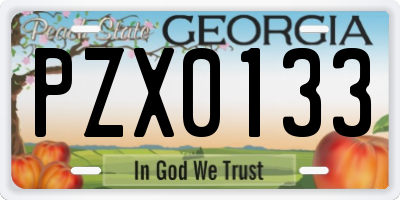 GA license plate PZX0133