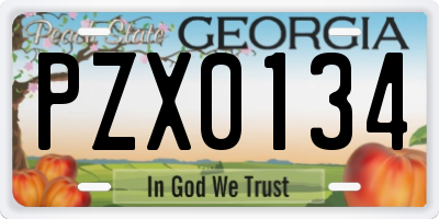 GA license plate PZX0134