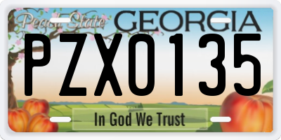 GA license plate PZX0135
