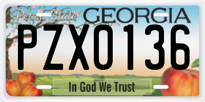 GA license plate PZX0136