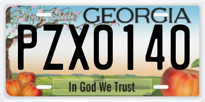 GA license plate PZX0140