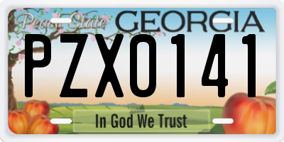GA license plate PZX0141