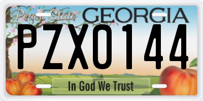 GA license plate PZX0144
