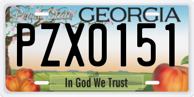 GA license plate PZX0151