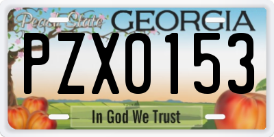 GA license plate PZX0153