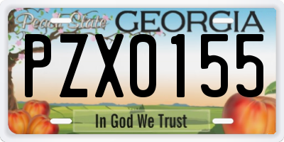 GA license plate PZX0155