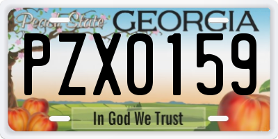 GA license plate PZX0159