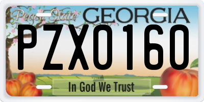 GA license plate PZX0160