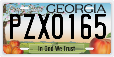GA license plate PZX0165